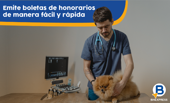 Veterinario examina perro de raza pomerania sobre mesón